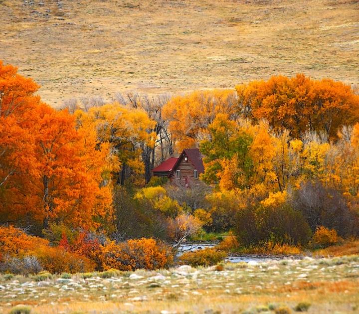 Ranch fall colors