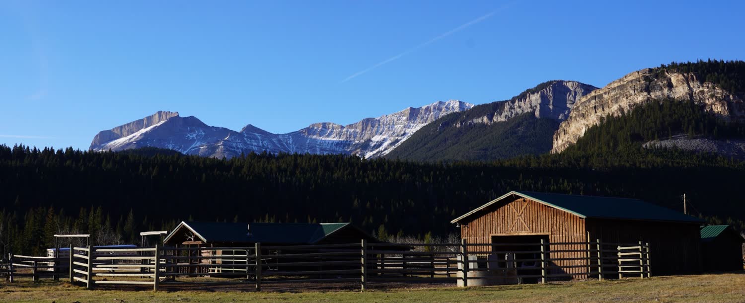 Deep Canyon Guest Ranch, Choteau, Montana (landscape)