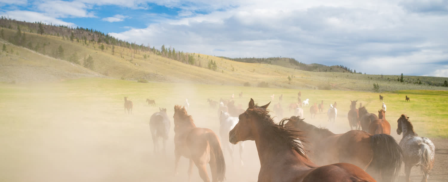 Sundance Guest Ranch, Ashcroft, British Columbia (landscape)