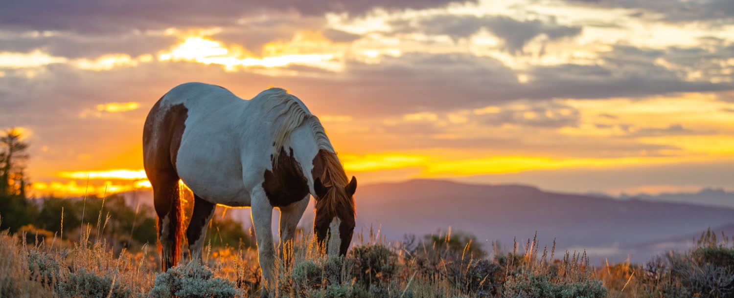 Latigo Ranch, Kremmling, Colorado (landscape)