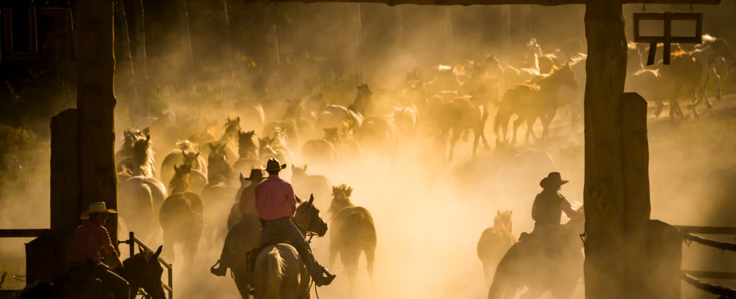 Paradise Ranch, Buffalo, Wyoming, Wyoming (landscape)